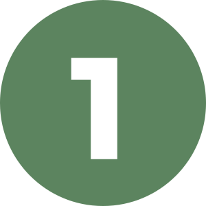 Fazenda Estrela do Capim - Vacas Leiteiras e Novilhos Girolando